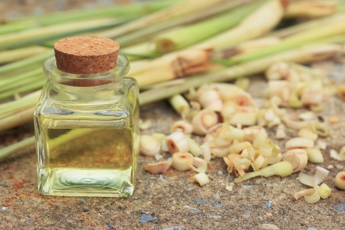 Lemongrass Essential Oil: A Few Thing You Should Know 