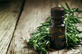 The Many Benefits of Melaleuca Essential Oil