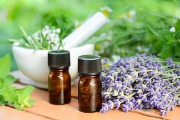 Lavender History and Benefits